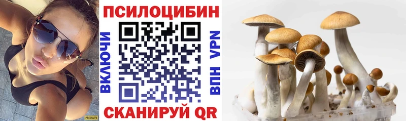 Псилоцибиновые грибы Psilocybe  Купить где  Рыбное 
